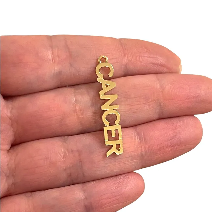 24Kt Gold Plated Letter Zodiac Charm Brass Zodiac Horoscope Sign Peppy Beads Earrings 24Kt Gold Plated Letter Zodiac Charm Brass Zodiac Horoscope Sign Peppy Beads Earrings