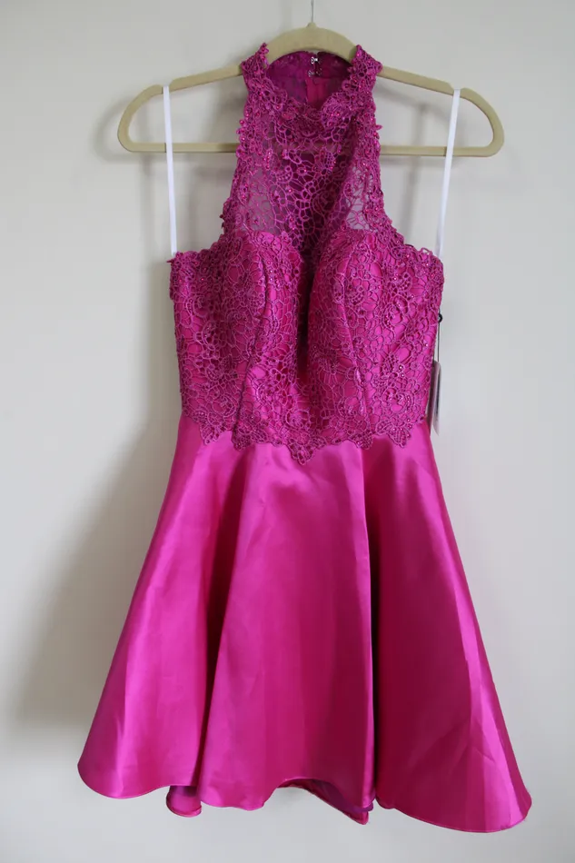 Alyce Earrings NEW Alyce Paris Raspberry Pink Lace Top Dress 4