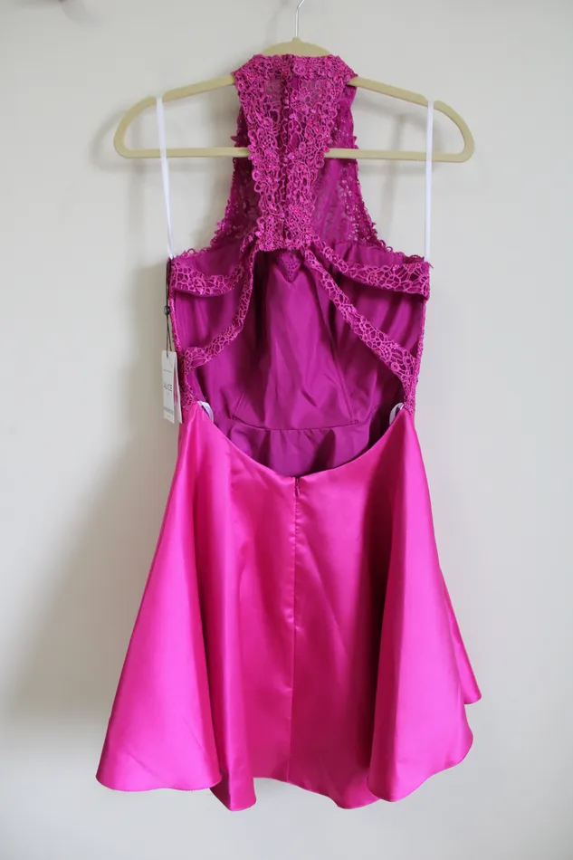 Alyce Earrings NEW Alyce Paris Raspberry Pink Lace Top Dress 4