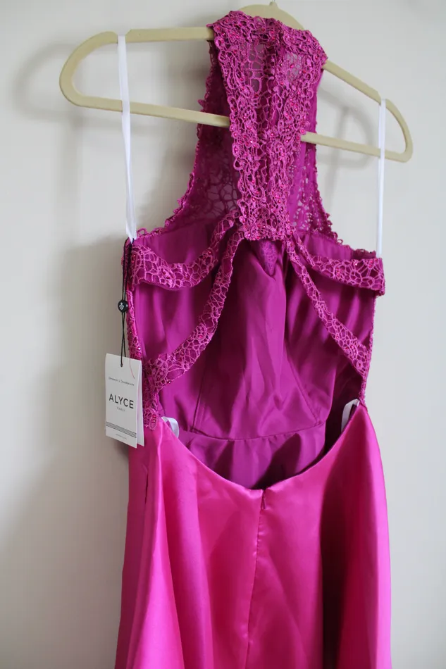 Alyce Earrings NEW Alyce Paris Raspberry Pink Lace Top Dress 4