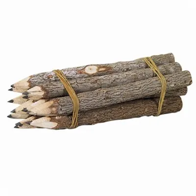 Earrings WORLDBUYERS Pencil Branch Graphite 5