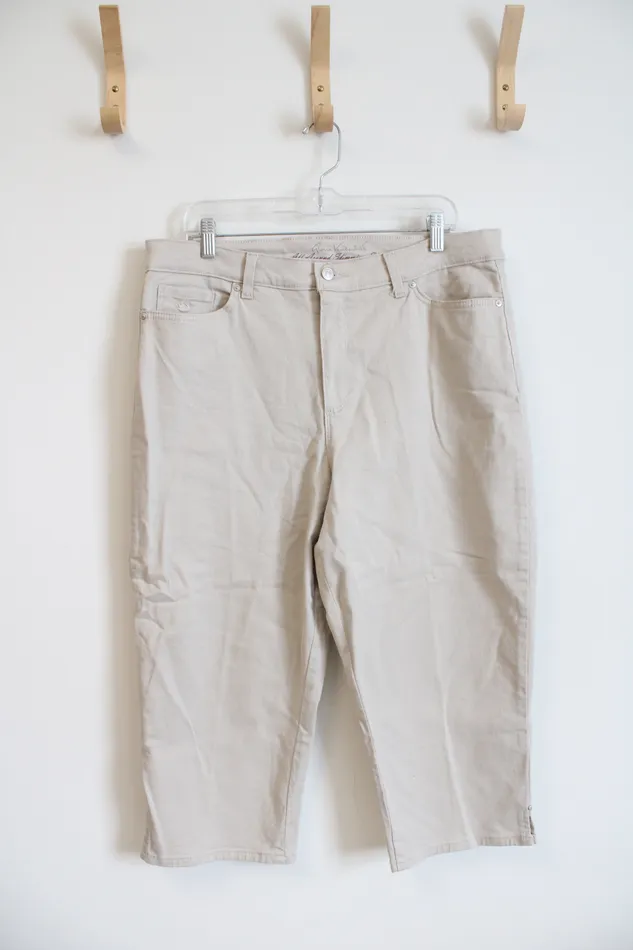 Gloria Vanderbilt Amanda Tan Capri Pants 16 Gloria Vanderbilt Earrings