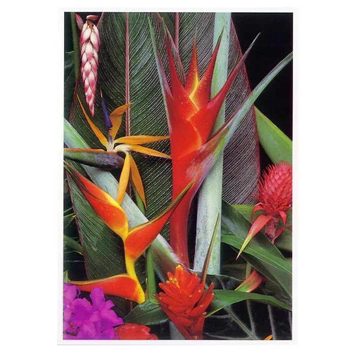 Necklaces FIVESTARTRANSP Tropical Arrangement Greeting Card with Envelope
