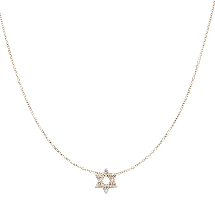 Necklaces Yellow Gold Diamond Star of David Pendant RACHEL LYNN CHICAGO