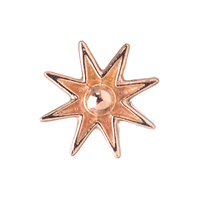 Anatometal Earrings Nova Threaded End in Gold