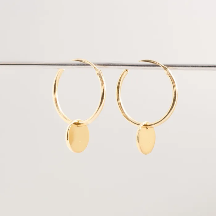 fejn jewelry Earrings shiny disc set