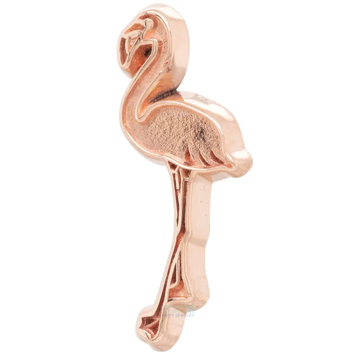 Flamingo Threaded End in Gold Body Gems Earrings