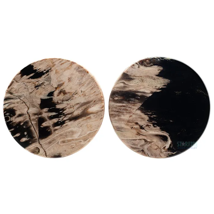Grit Lapidary Rings Stone Plugs Petrified Palm Wood