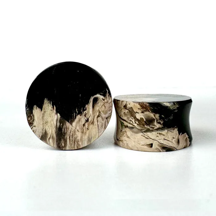 Grit Lapidary Rings Stone Plugs Petrified Palm Wood