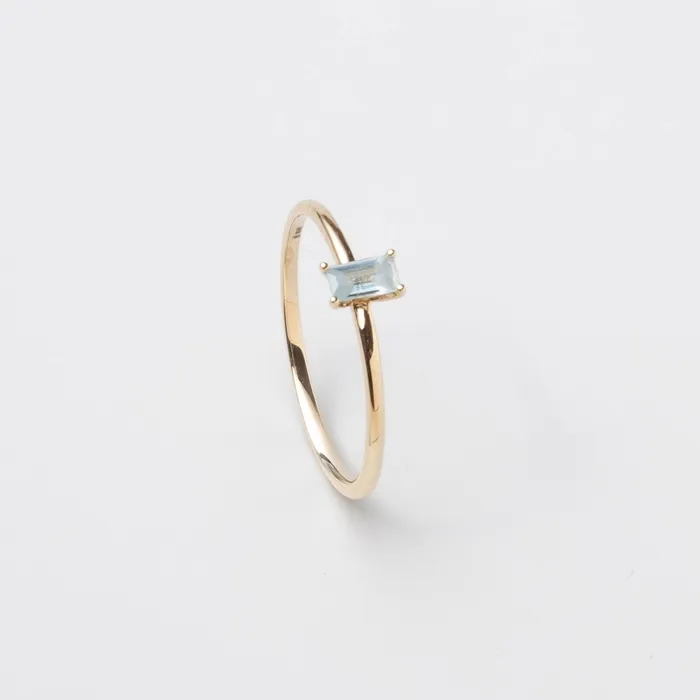 Rings fejn PWD colored baguette ring solid gold