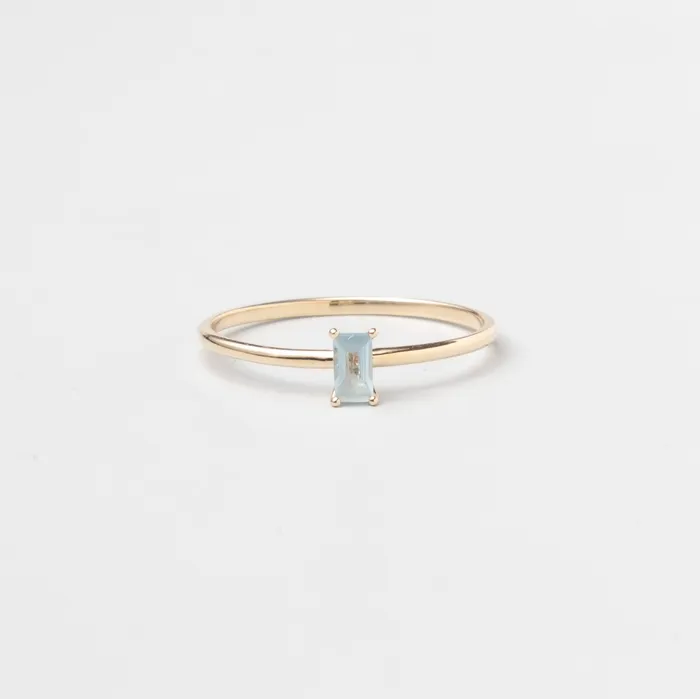 Rings fejn PWD colored baguette ring solid gold