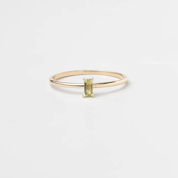 Rings fejn PWD colored baguette ring solid gold