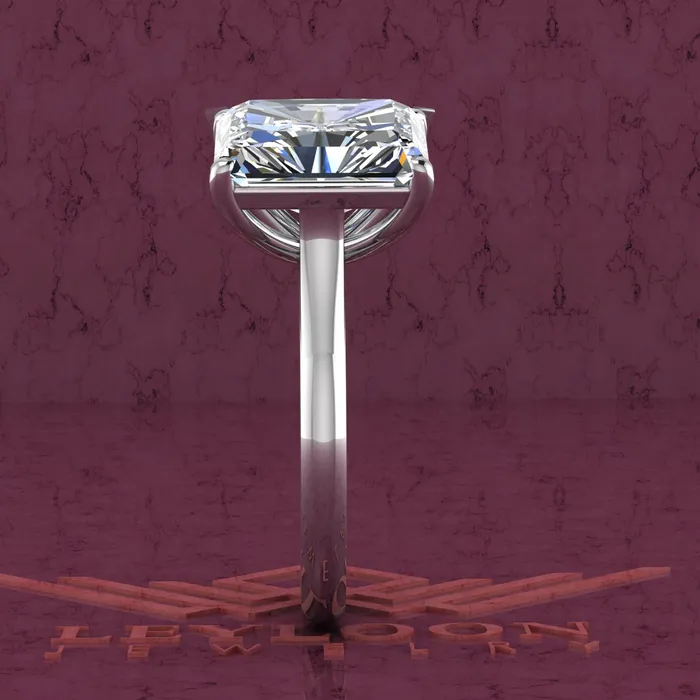 Rings Leyloon Jewelry 4 Carat Trilliant Cut 4 Carat Medium Radiant Cut TwoStone Basket D Color Moissanite Ring
