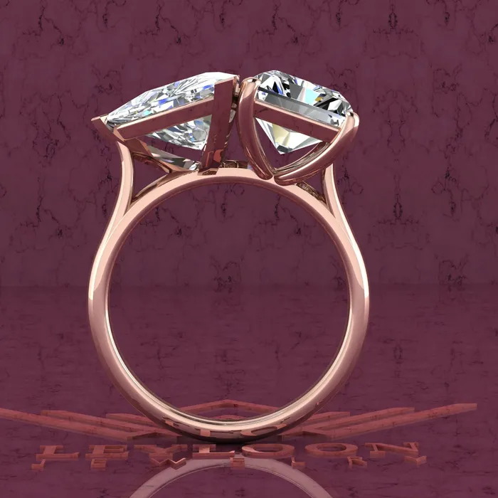 Rings Leyloon Jewelry 4 Carat Trilliant Cut 4 Carat Medium Radiant Cut TwoStone Basket D Color Moissanite Ring