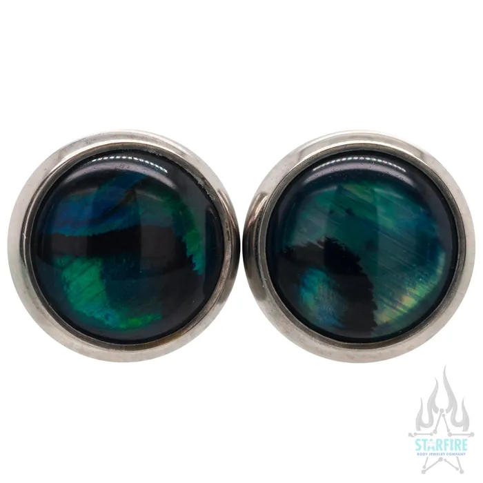 Titanium Natural Stone Cabochon Gem Plugs Blue Paua Shell Industrial Strength IS Earrings