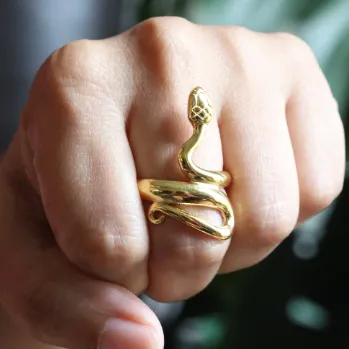 18k GoldFilled Snake Warp Ring Jewelvers Rings