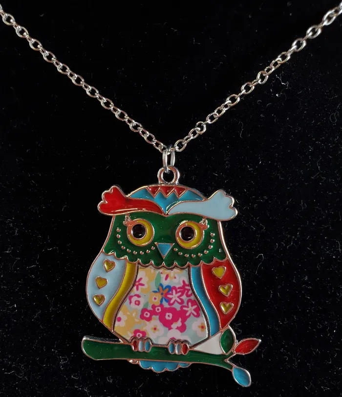 alice Necklaces N1611 Silver Enamel Owl Necklace with FREE EARRINGS