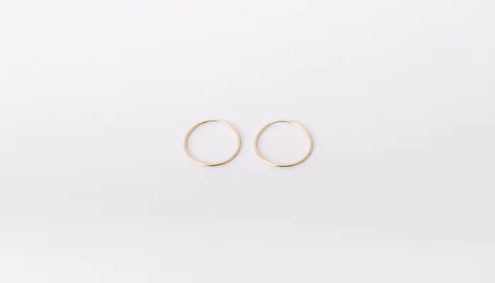 Earrings Halstead 24mm Classic Hoops