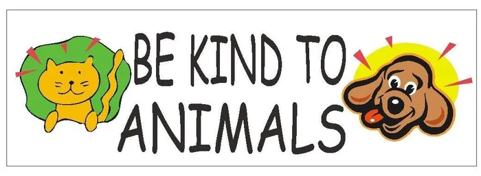 Earrings STD395 Be Kind To Animals Bumper Sticker Winter Park Products