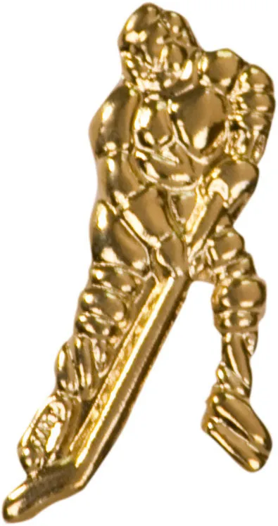 F18 Ice Hockey Tie Tack Lapel Pin jd Earrings