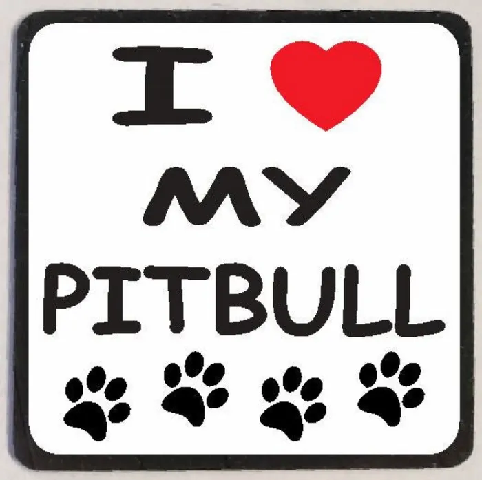 M113 I Love My Pitbull Iris Fashion Jewelry Earrings