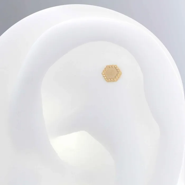 Petite Hex Megan Thorne Earrings