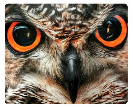 Sand Dollar Sales Rings MP03 Owl Mouse Pad