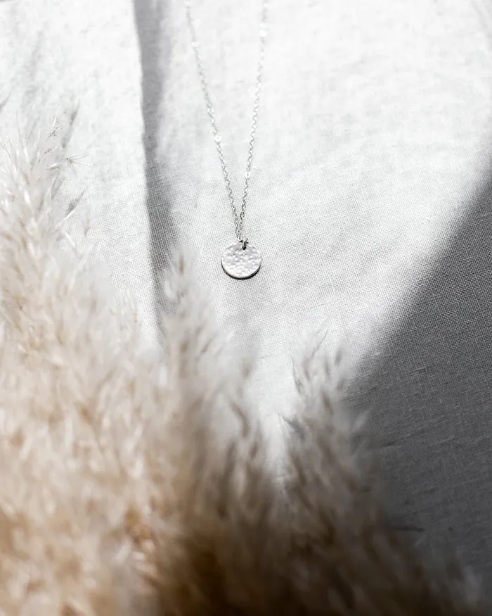 THE HAMMERED COIN NECKLACE SILVER Stylin By Aylin Necklaces