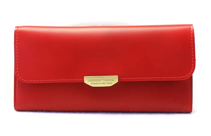 Walkeaze Earrings Women Stylish Wallet 2100W Walkeaze Earrings Women Stylish Wallet 2100W